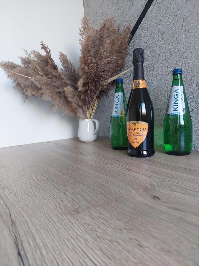 카토비체 Przestronny Apartament 5 Min Od Centrum Katowic. 아파트 외부 사진
